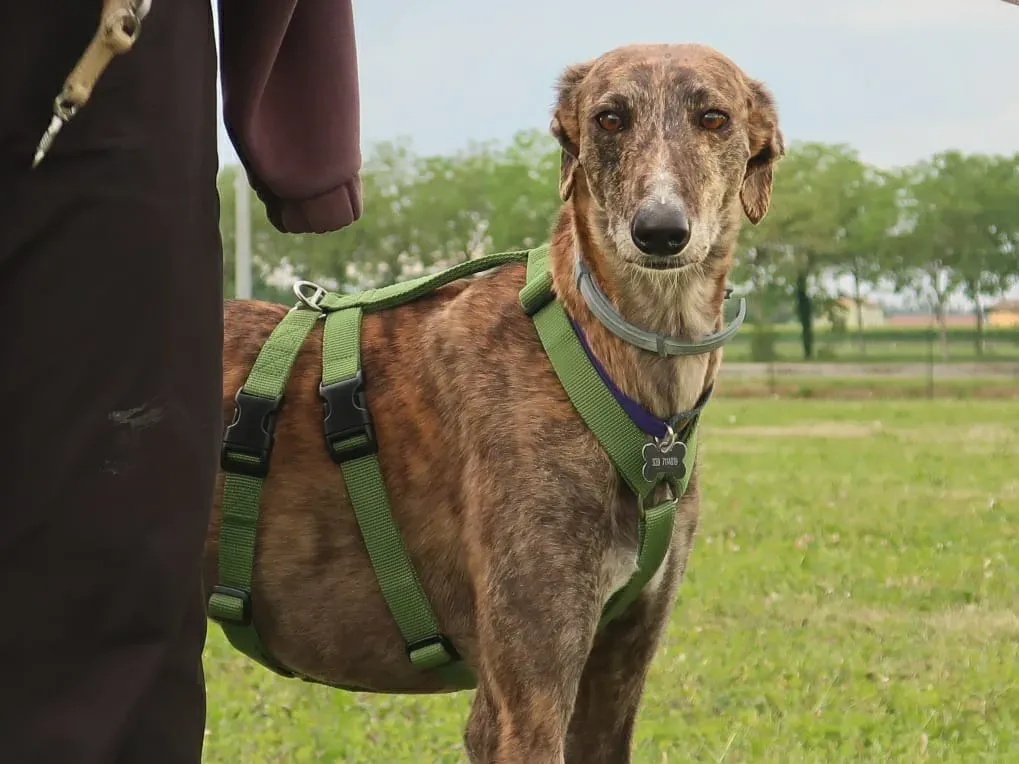 WhatsApp Image 2021 05 22 at 21.22.01 8