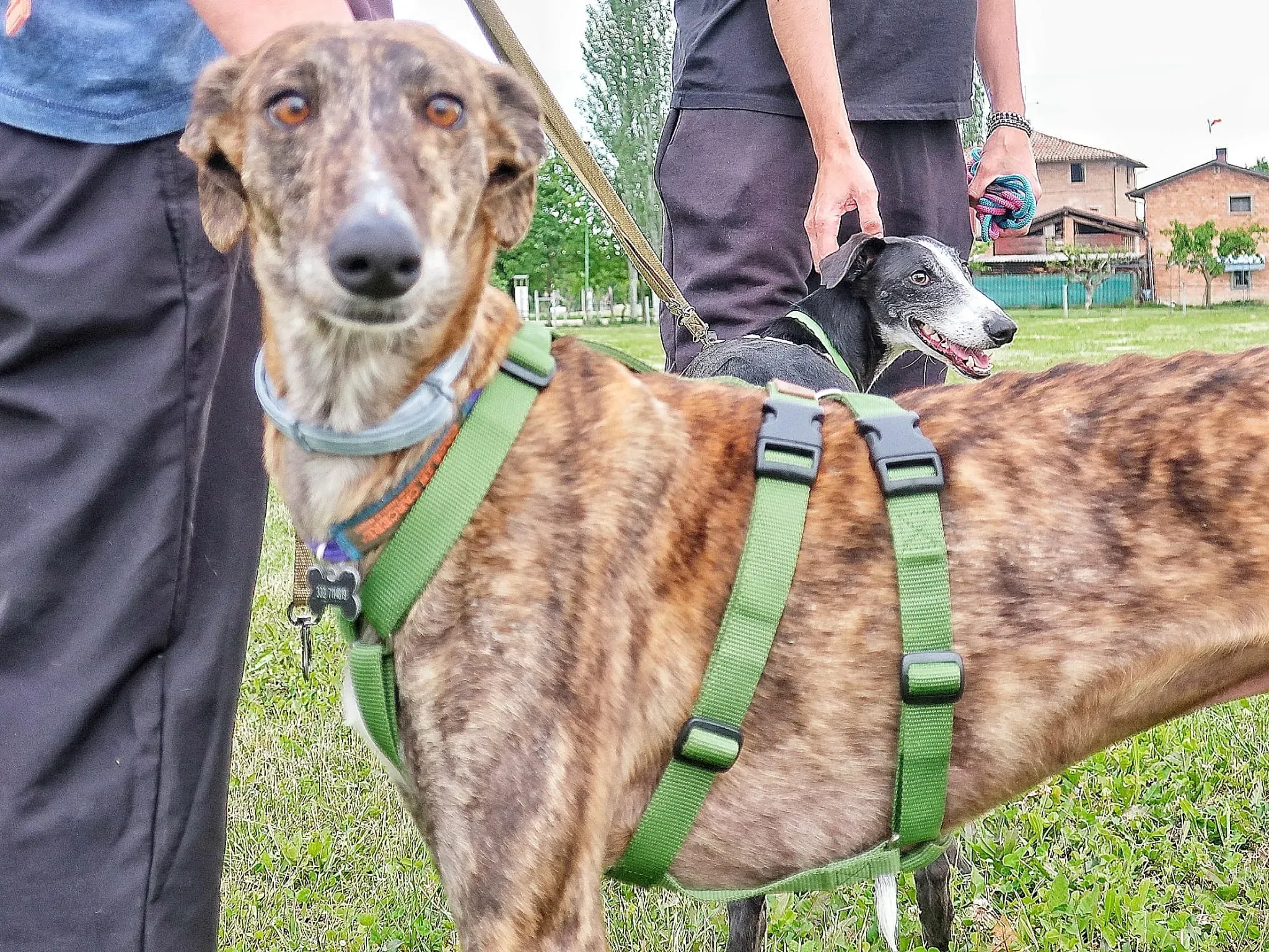 WhatsApp Image 2021 05 22 at 21.22.01 9