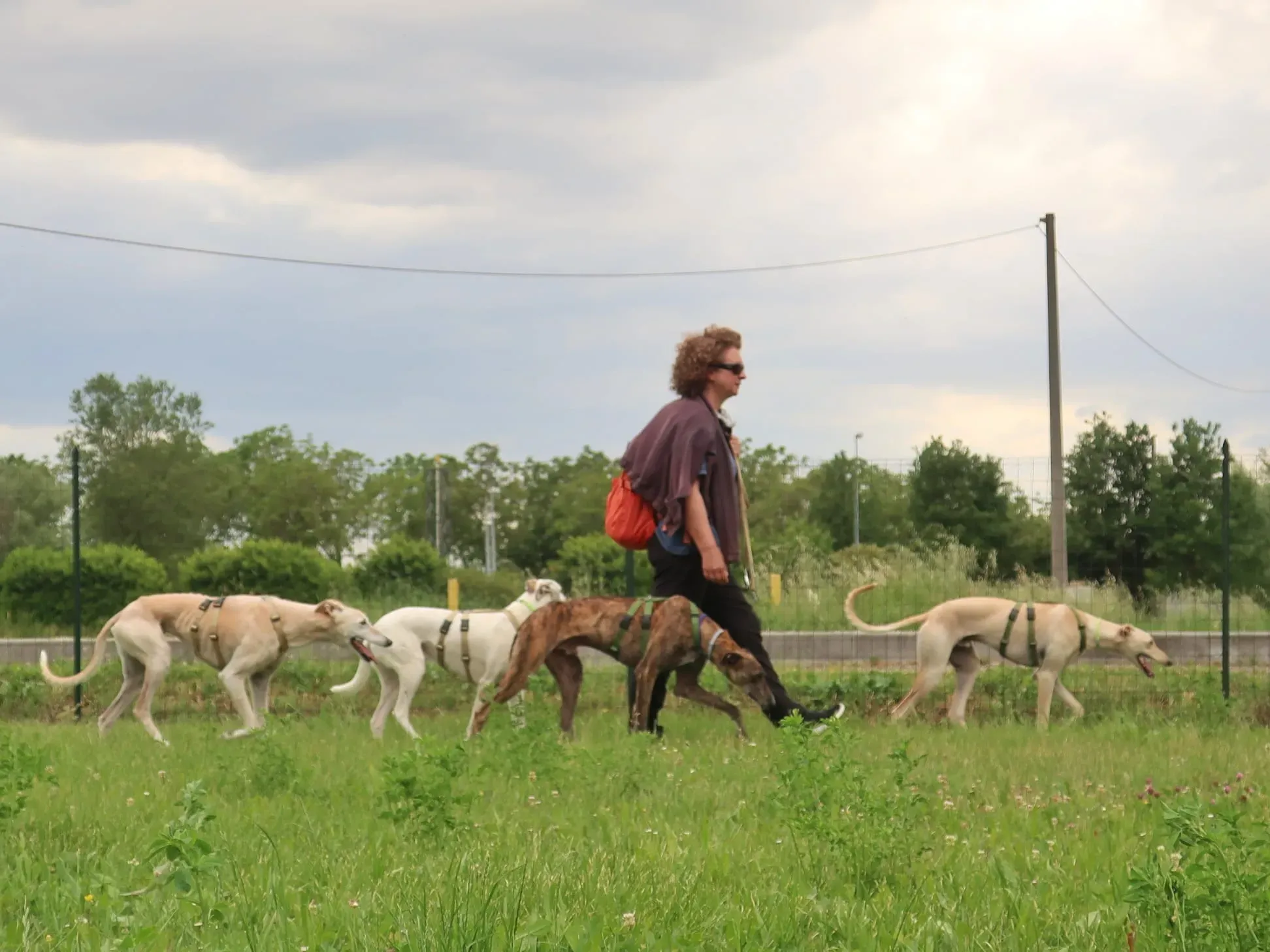 WhatsApp Image 2021 05 22 at 21.24.17