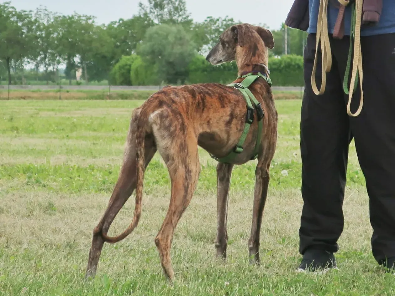 WhatsApp Image 2021 05 22 at 21.26.40