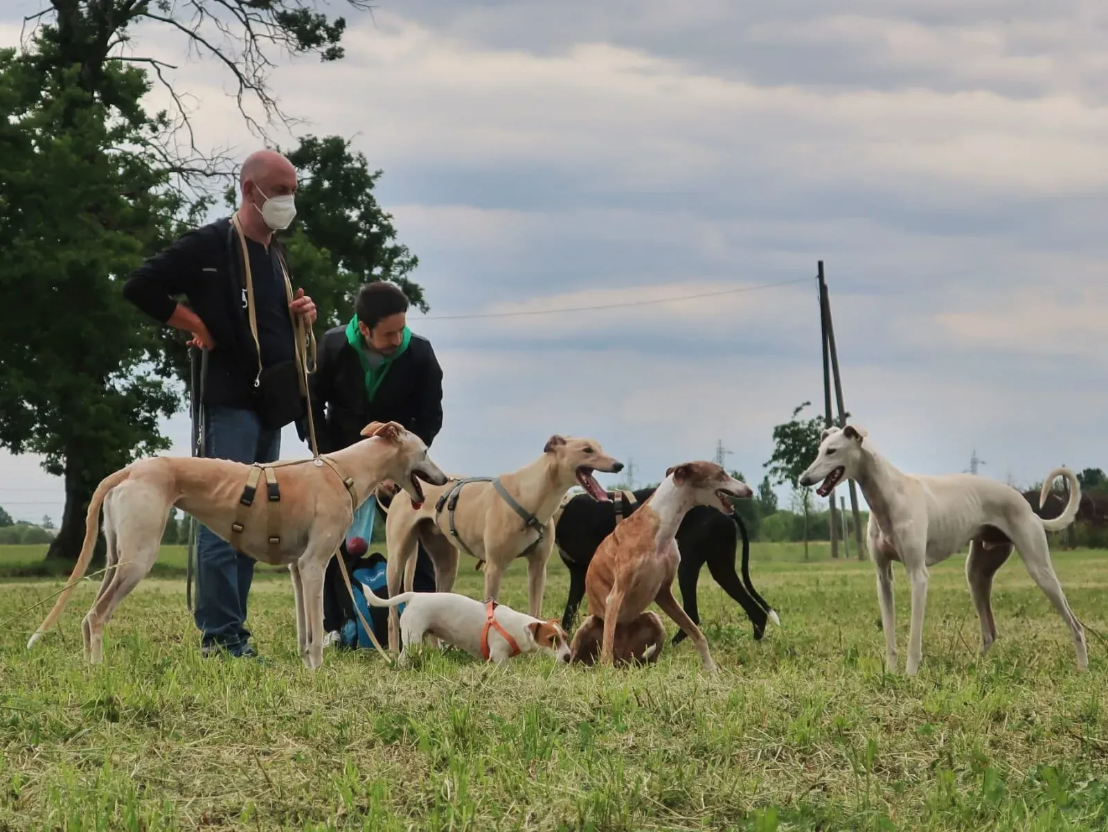 WhatsApp Image 2021 05 23 at 10.37.34