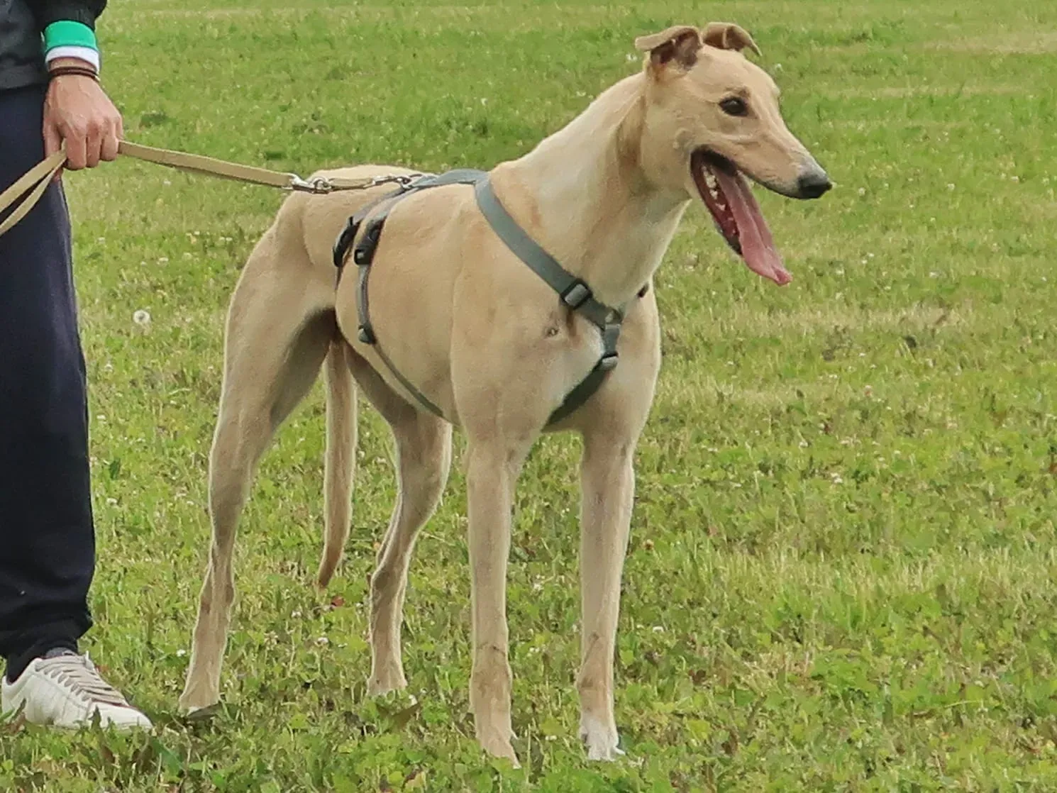 WhatsApp Image 2021 05 23 at 10.37.57 2