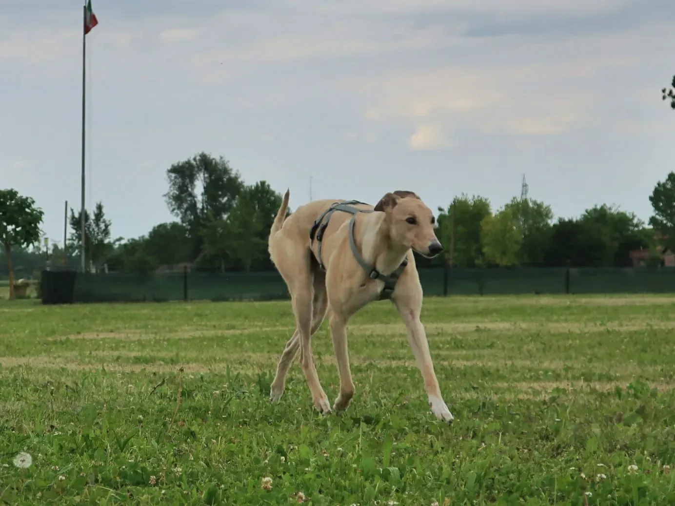 WhatsApp Image 2021 05 23 at 10.37.57 3