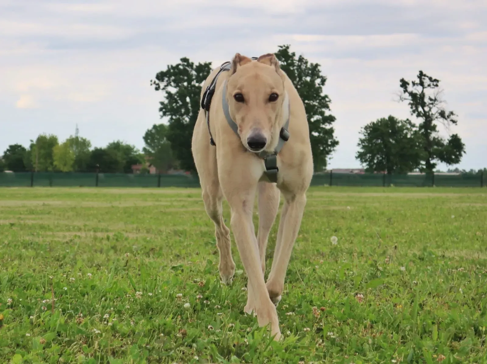 WhatsApp Image 2021 05 23 at 10.37.57 4