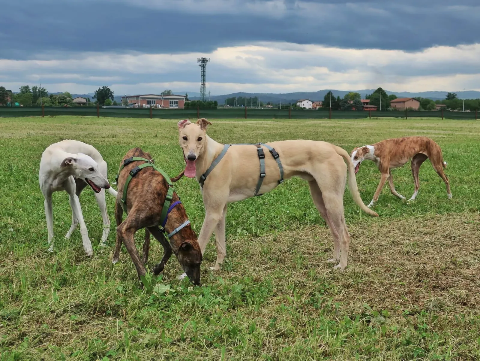 WhatsApp Image 2021 05 23 at 10.37.57 5