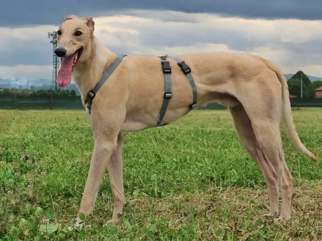 WhatsApp Image 2021 05 23 at 10.37.57 6