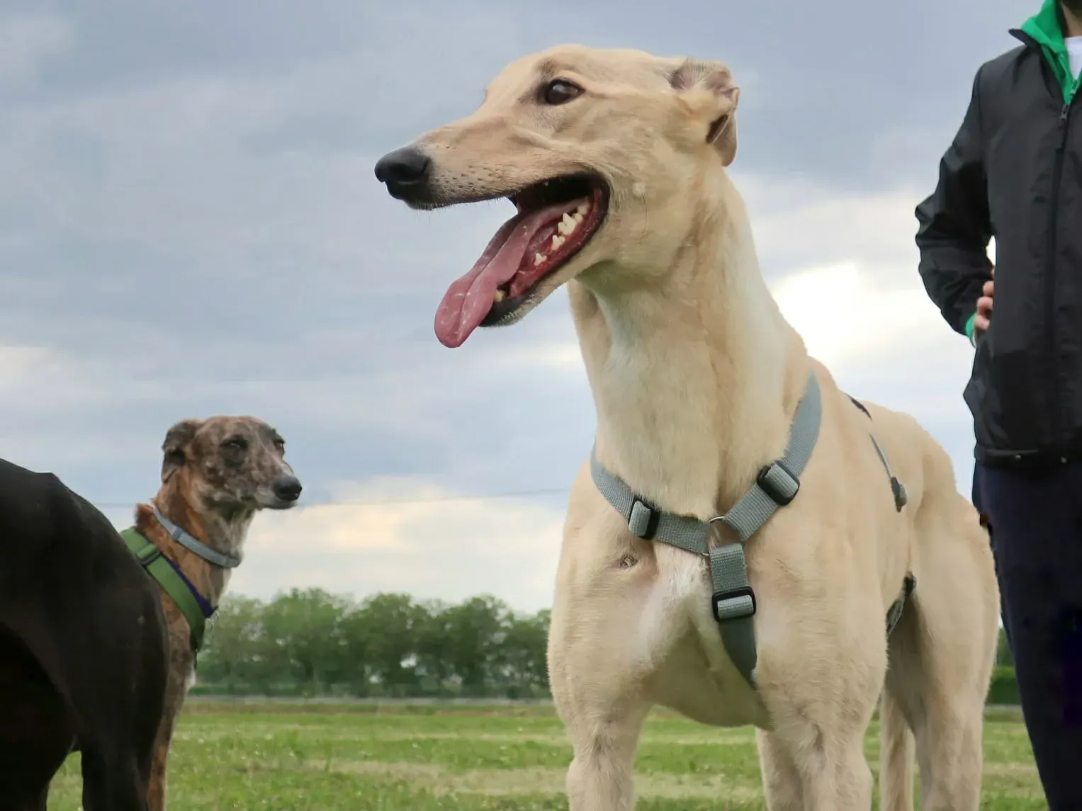 WhatsApp Image 2021 05 23 at 10.37.57 7