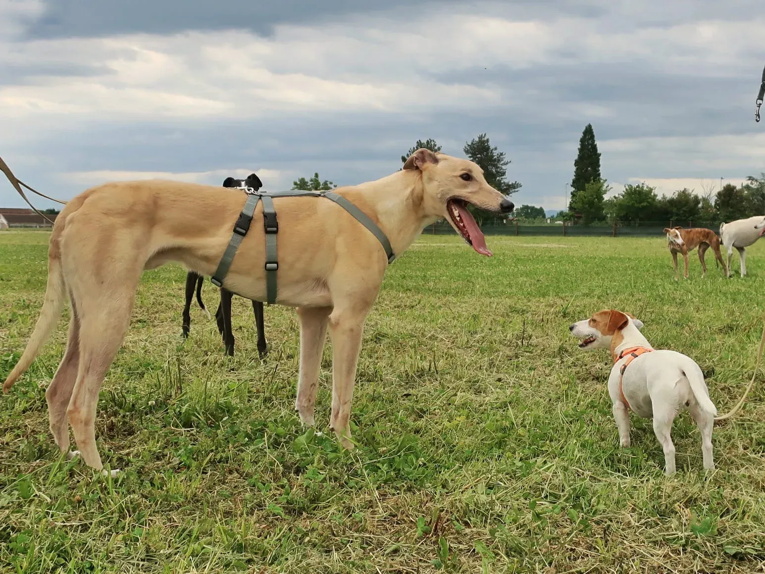 WhatsApp Image 2021 05 23 at 10.37.57