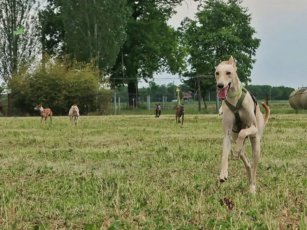 WhatsApp Image 2021 05 23 at 10.46.22 1