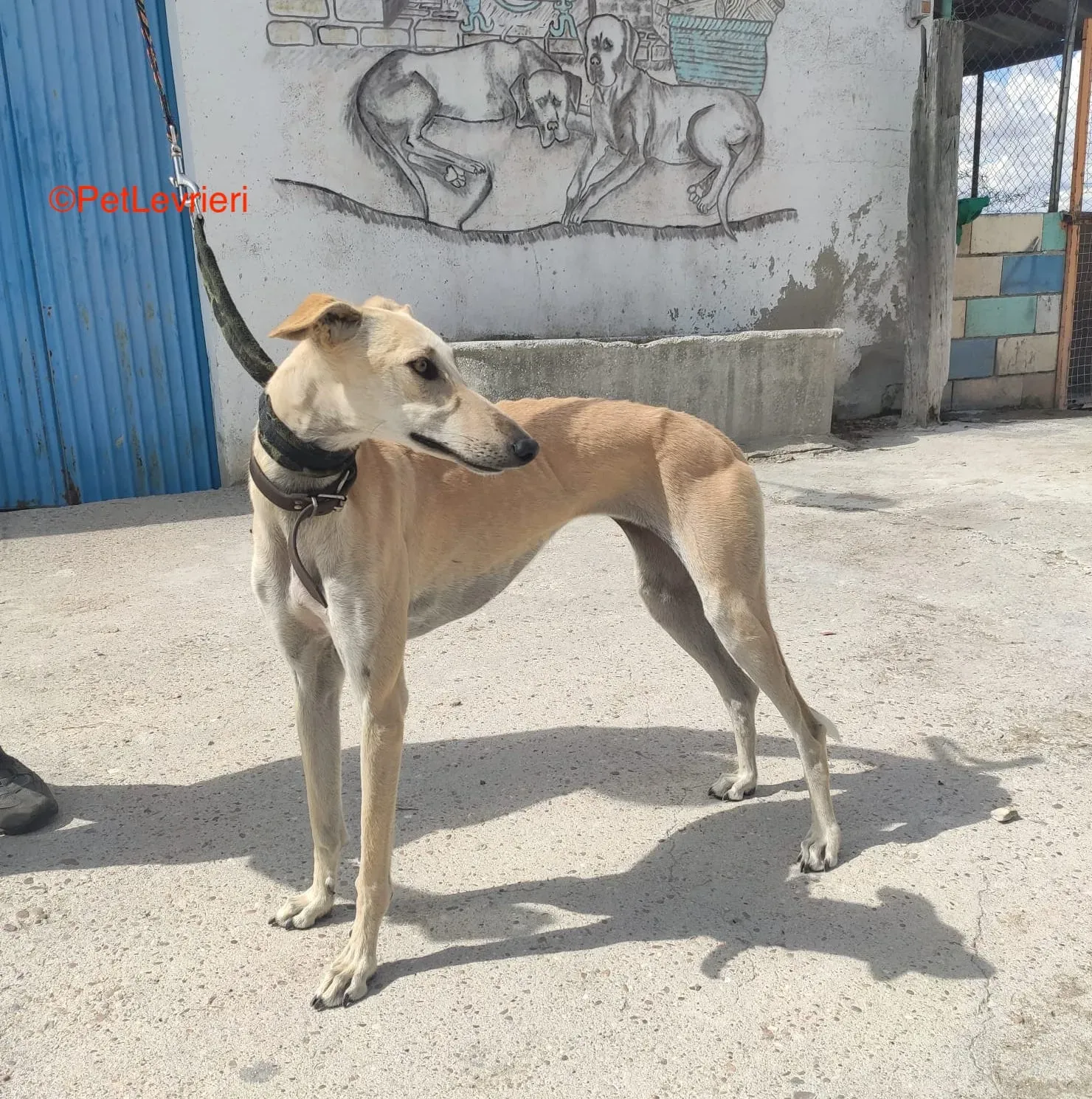 WhatsApp Image 2021 09 16 at 16.08.11