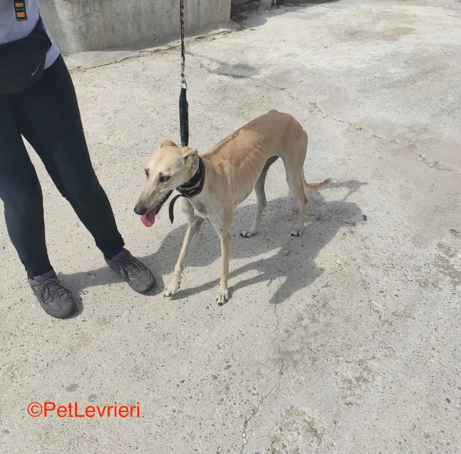 WhatsApp Image 2021 09 16 at 16.08.12 copia 2