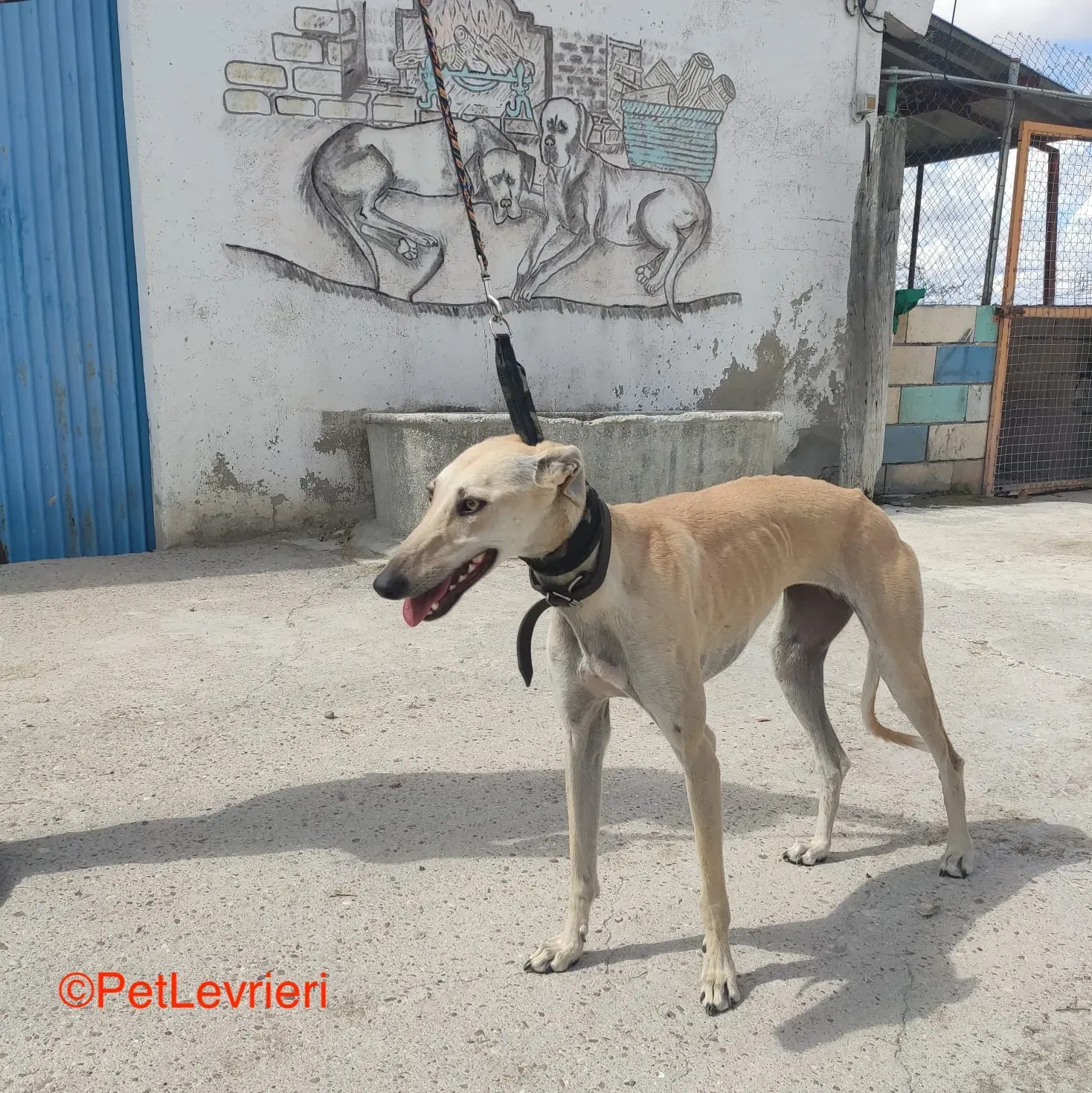 WhatsApp Image 2021 09 16 at 16.08.12 copia