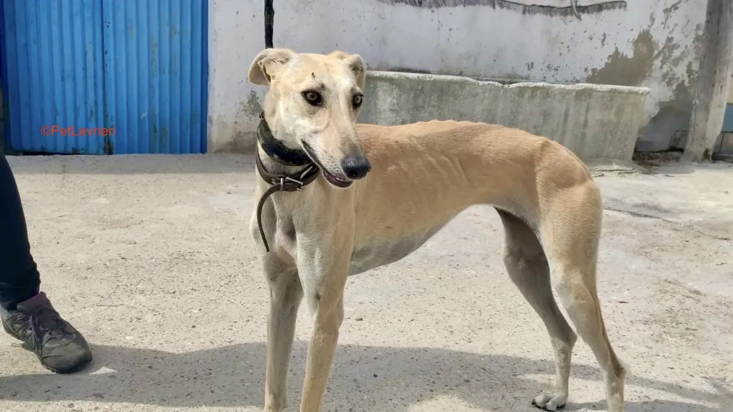 WhatsApp Image 2021 09 16 at 16.08.12