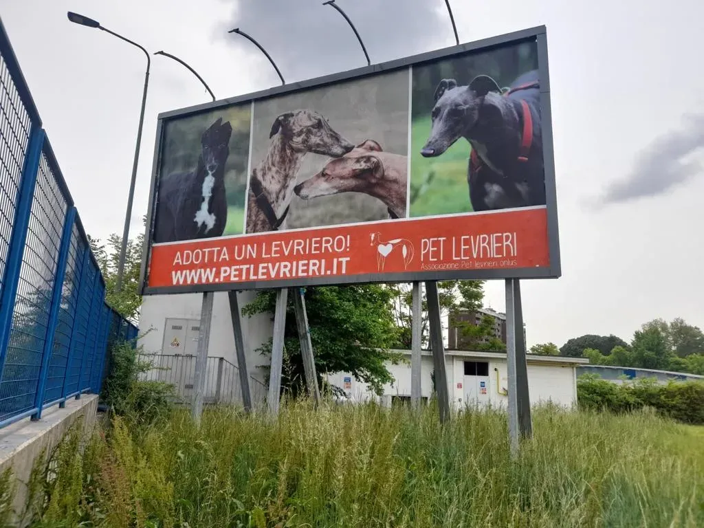 WhatsApp Image 2022 05 04 at 17.24.25 1