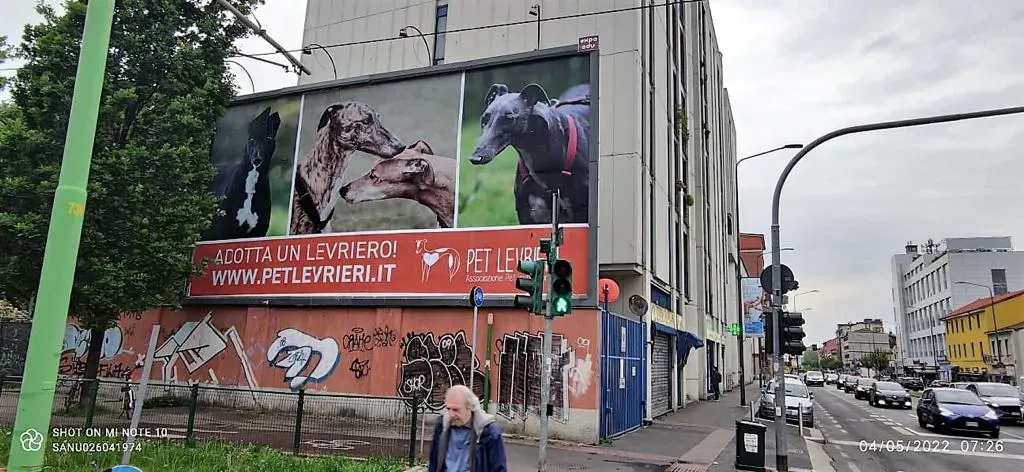 WhatsApp Image 2022 05 04 at 17.24.25