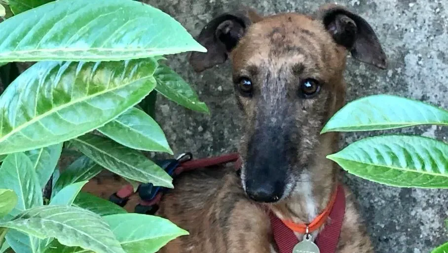 WhatsApp Image 2022 06 25 at 15.36.29 2 e1656164482642