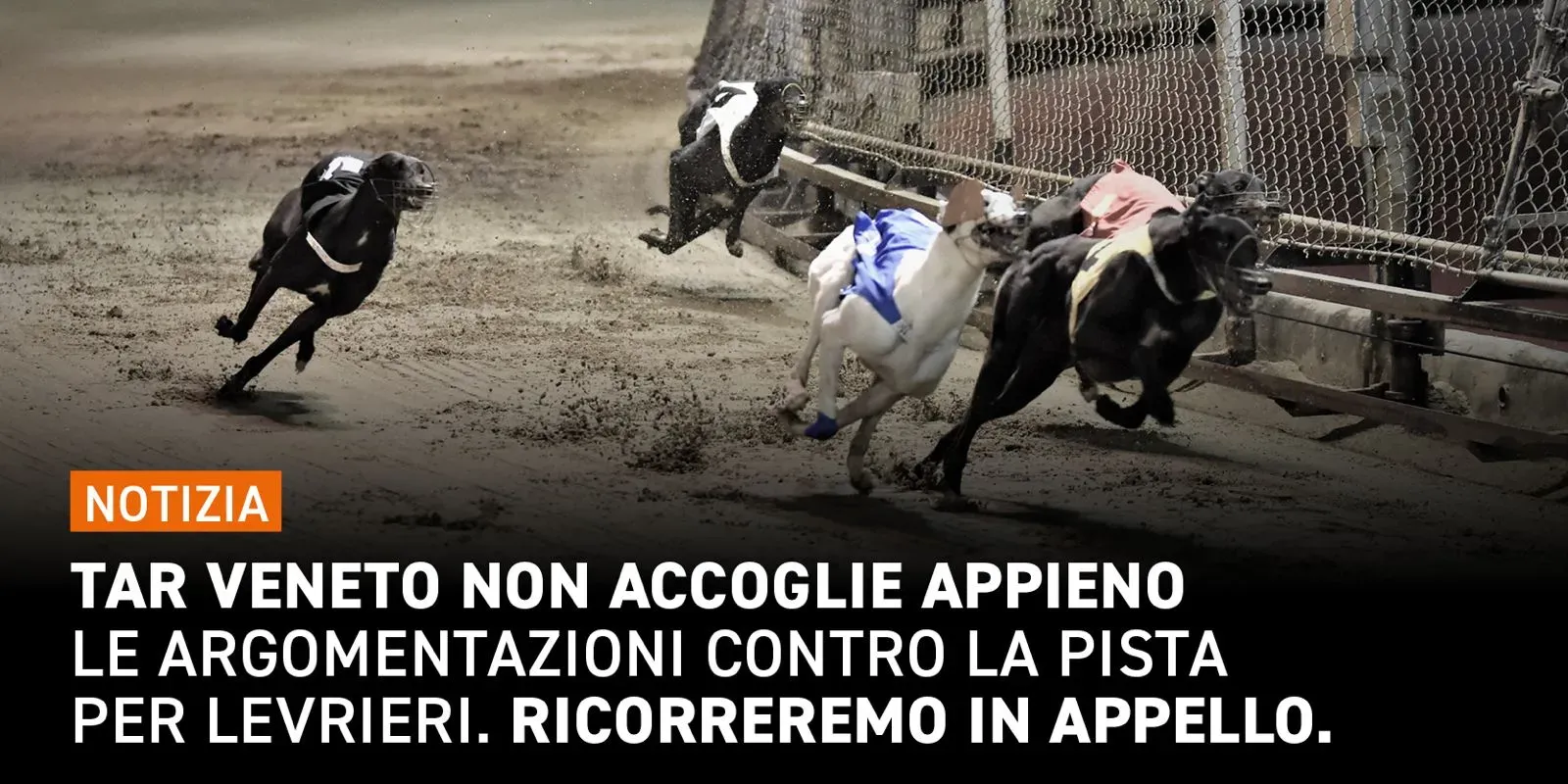 WhatsApp Image 2024 02 23 at 14.52.50