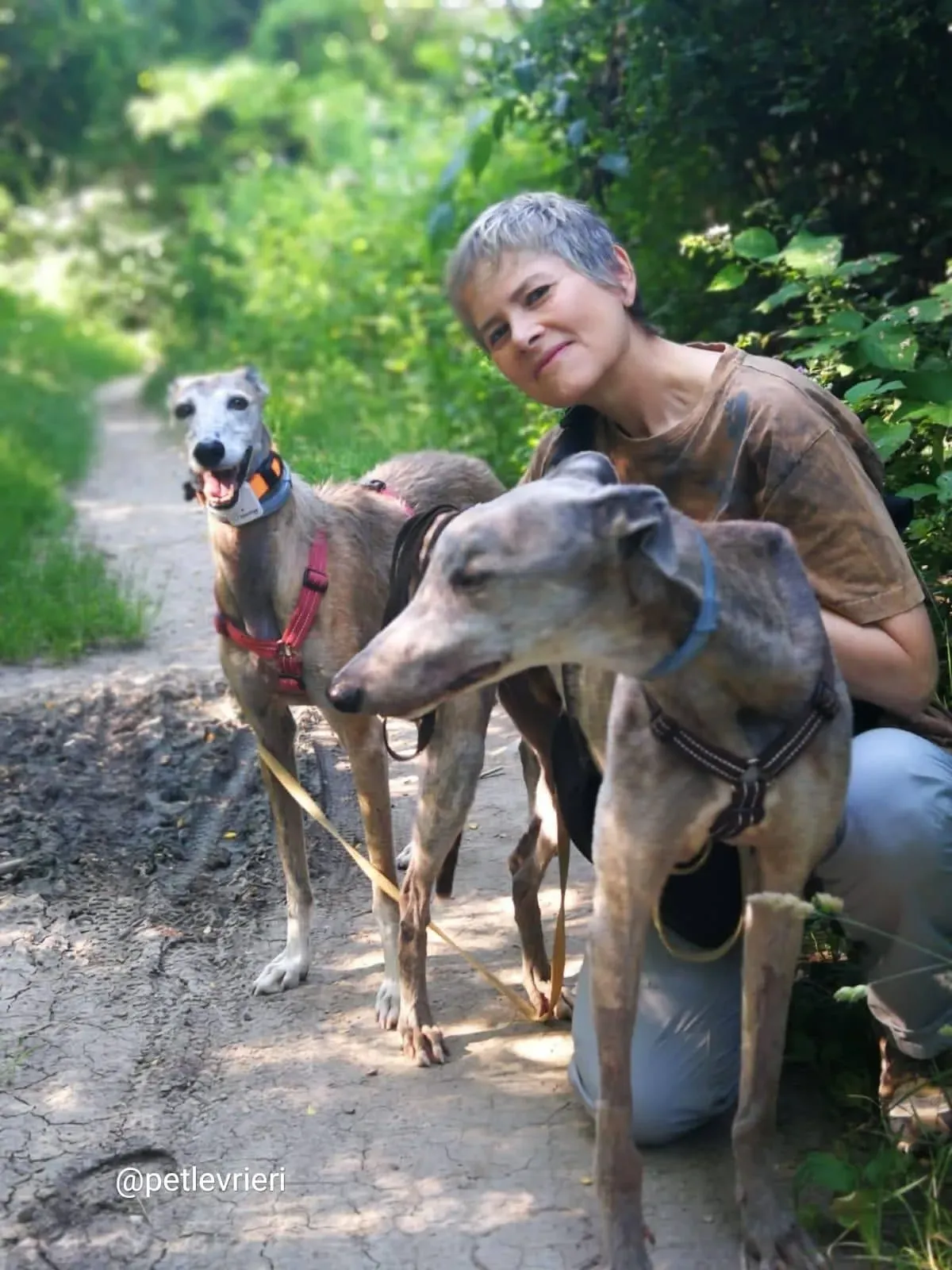 YougerParty adozione greyhound macao 8