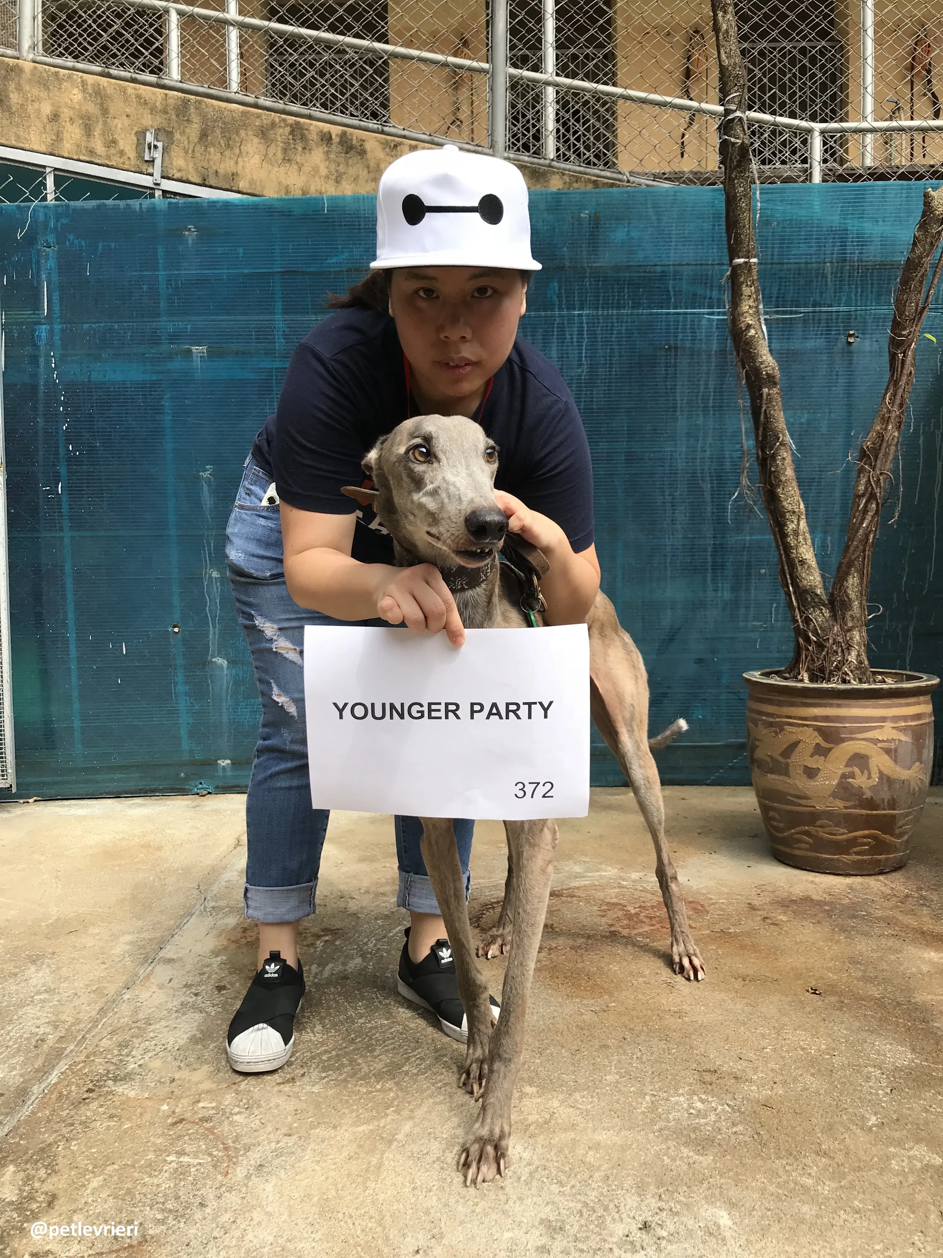 YoungerParty adozione greyhound macao 1