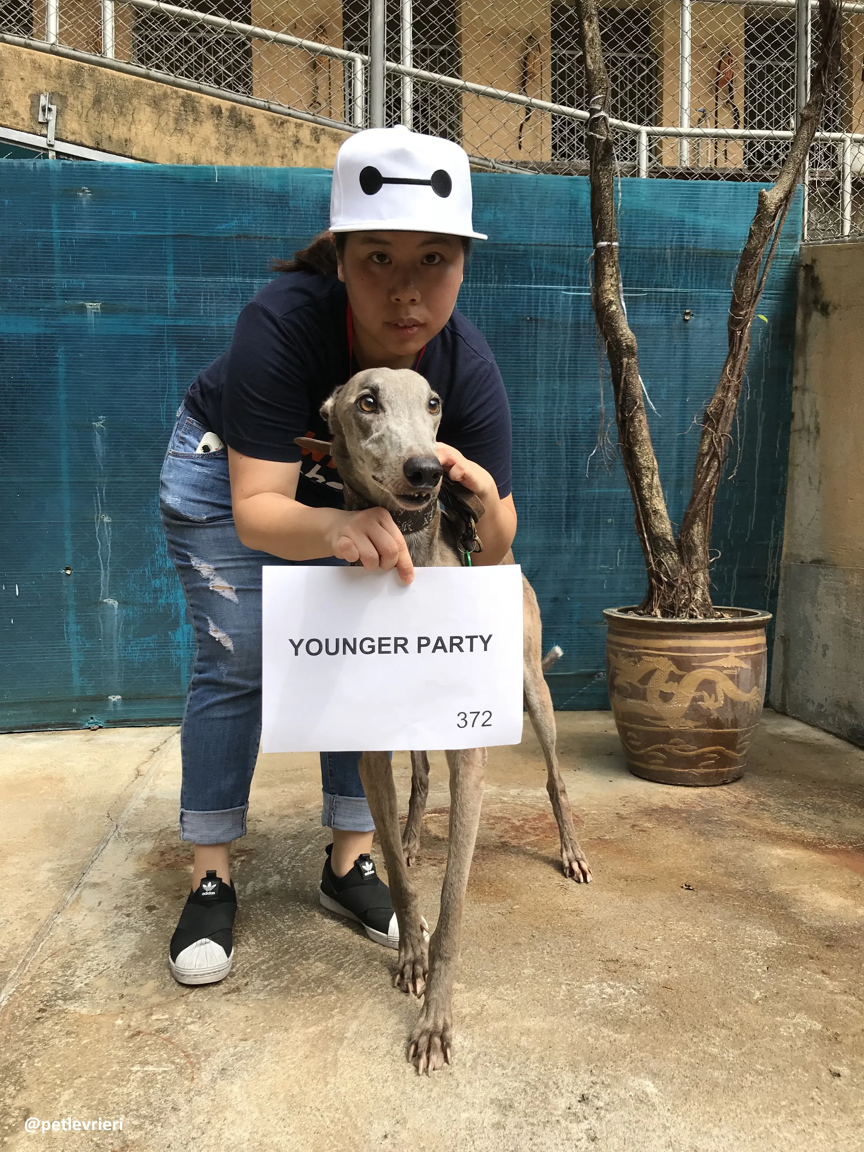 YoungerParty adozione greyhound macao