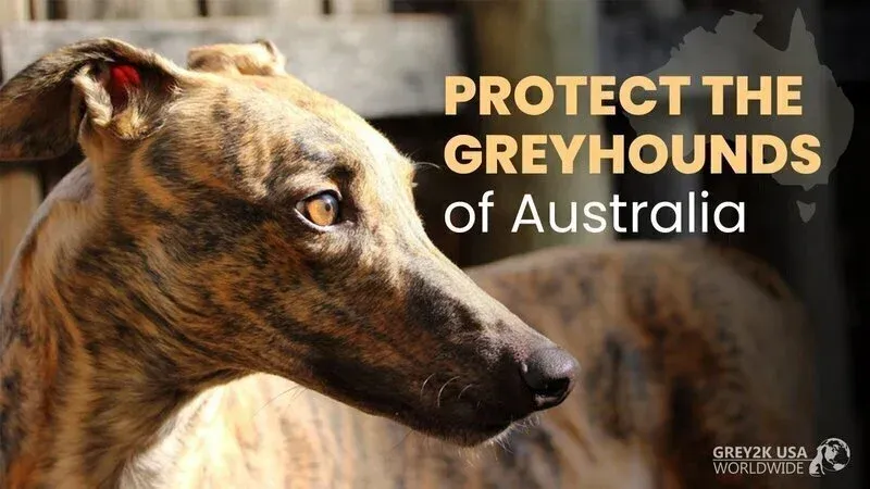 ZODdhcEjBlqHkZI 800x450 noPad