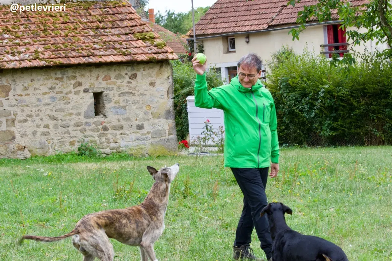 Zen greyhound macao 3