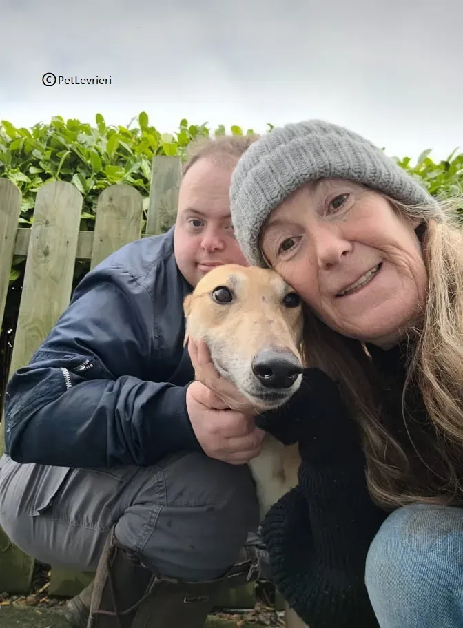 Zucca adozione levriero greyhound1 1