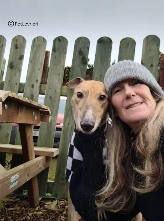 Zucchini adozione levriero greyhound2