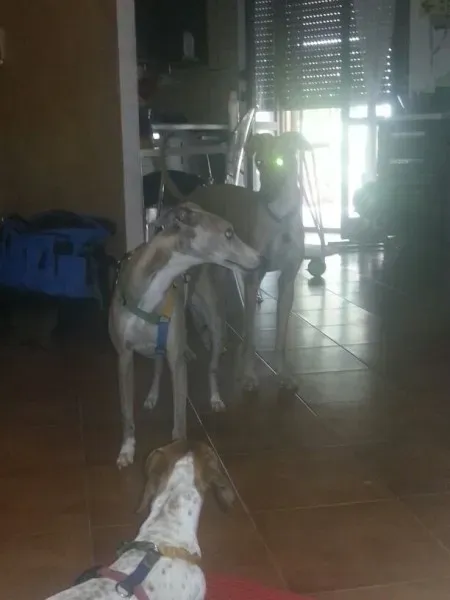 a326d4f183206e087b1485685b35eb86