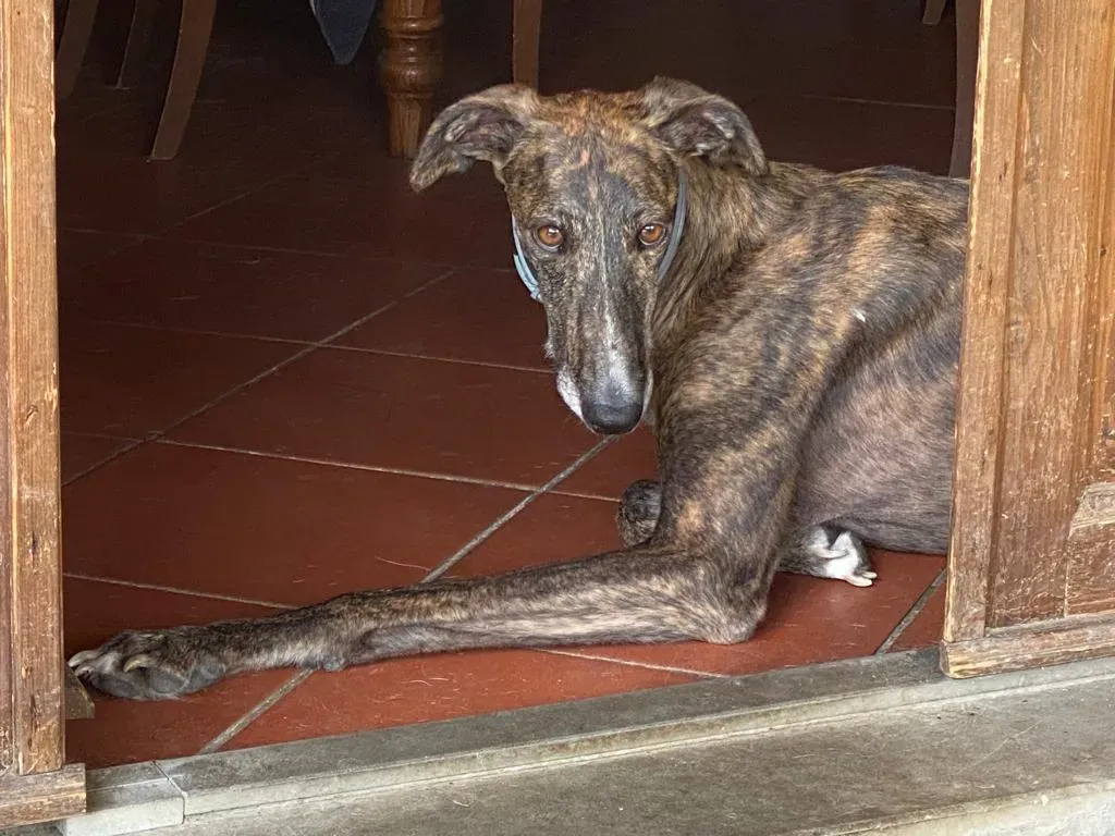 a35391ee b8e5 4a65 a822 63e19beb16ba