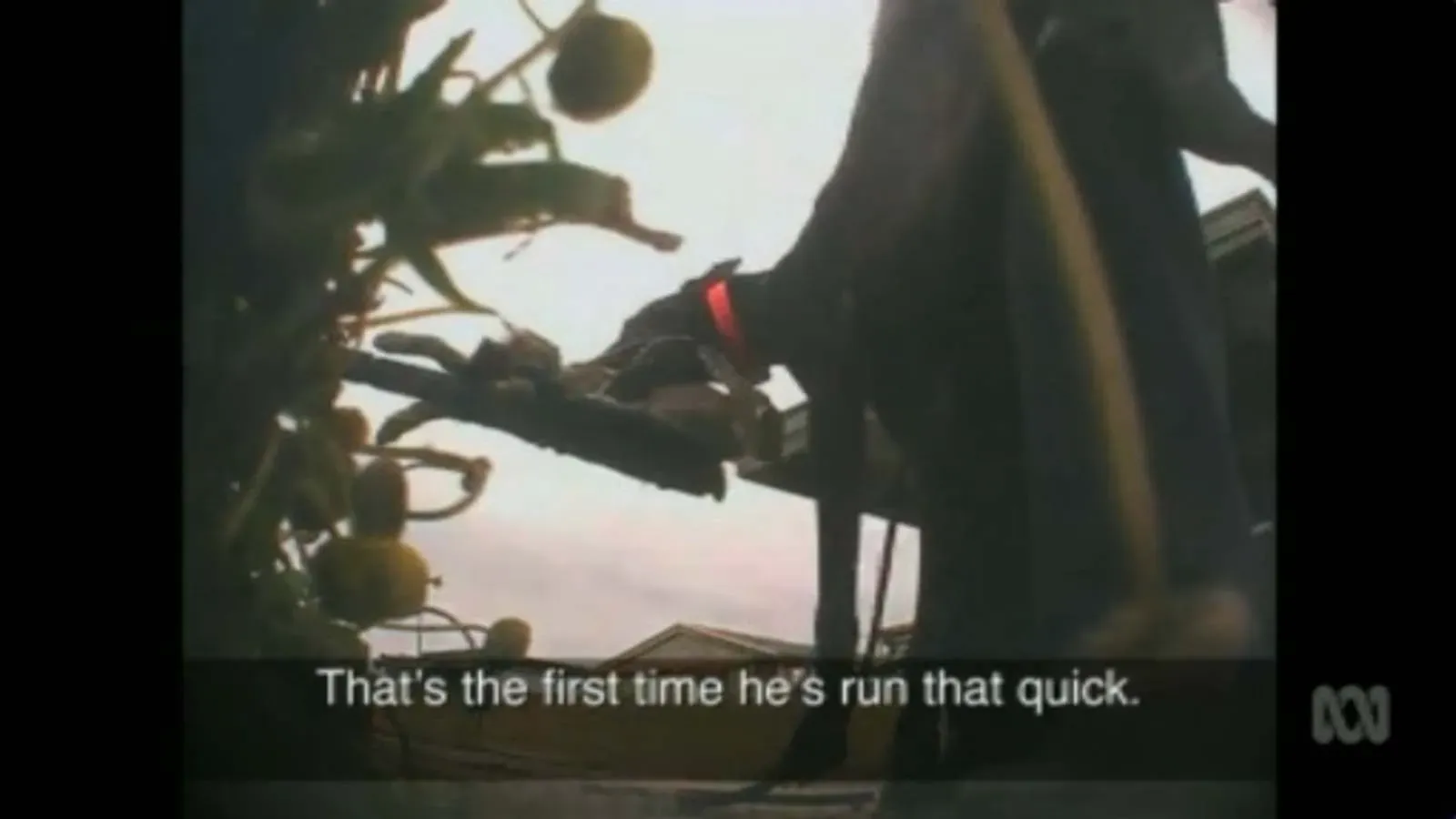 a67ab119df8fe0c511a51c23487d23136086894d