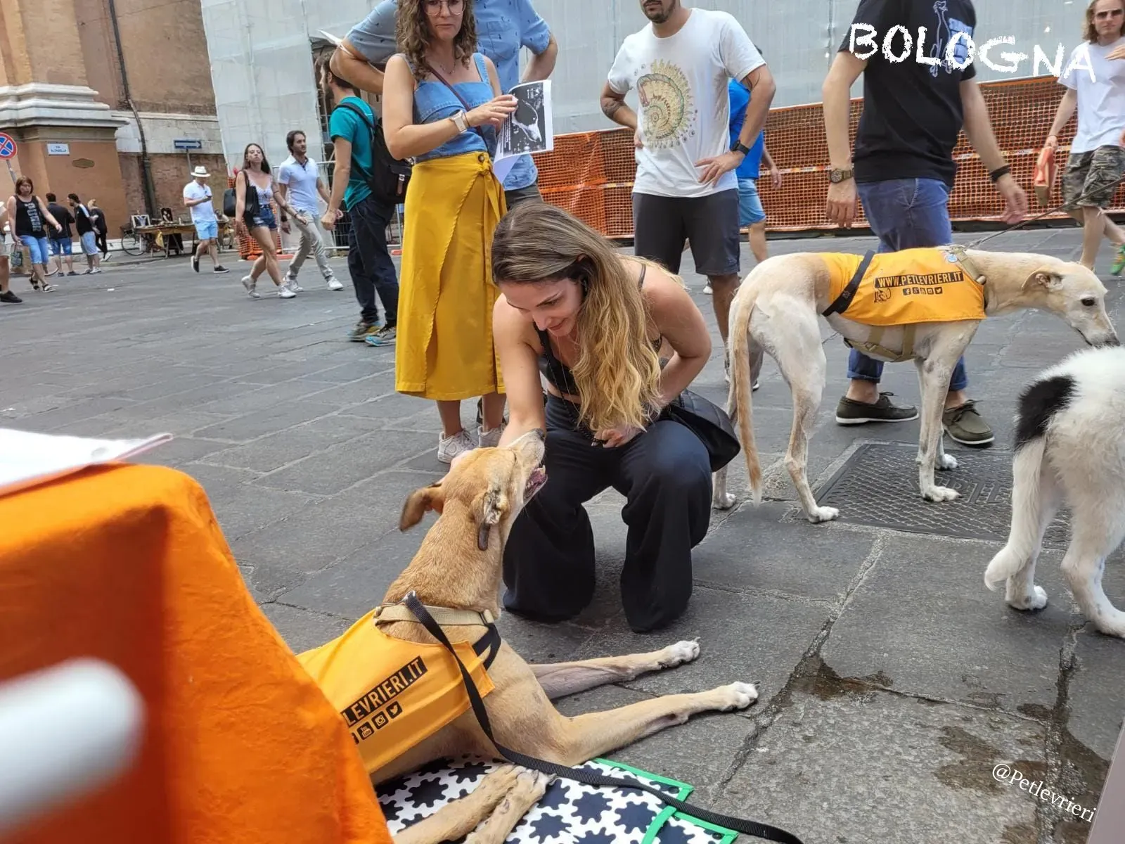 aaaaa7f2 51f0 48e2 a550 5821214f3523 risultato