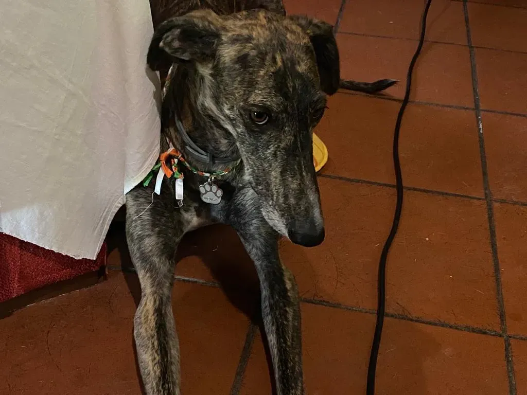 ad590da3 49fd 4467 bf9d 3d5fba2a6ddc