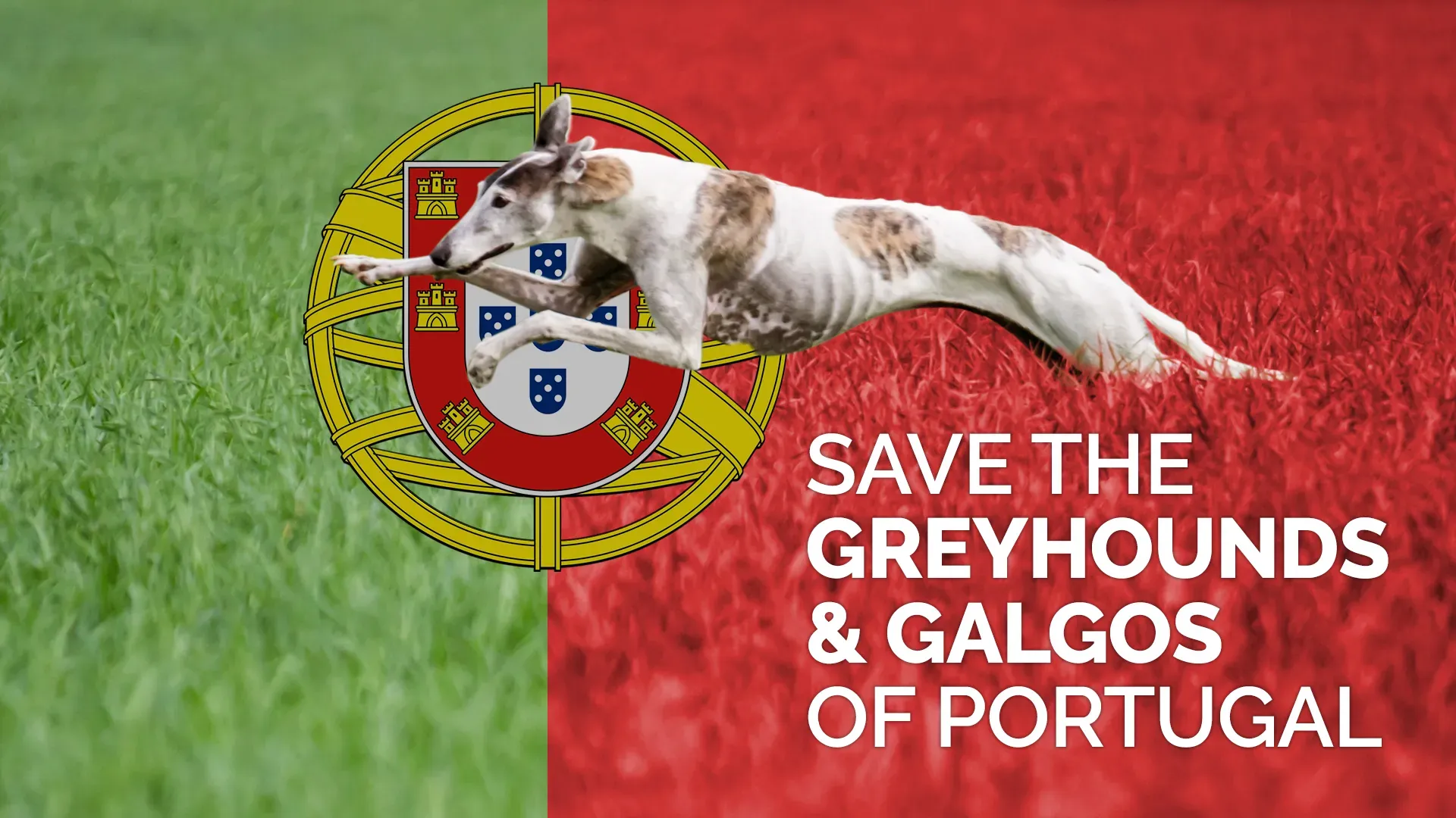 adjusted banner SITO save the greyhounds and galgos in portugal rosso 1