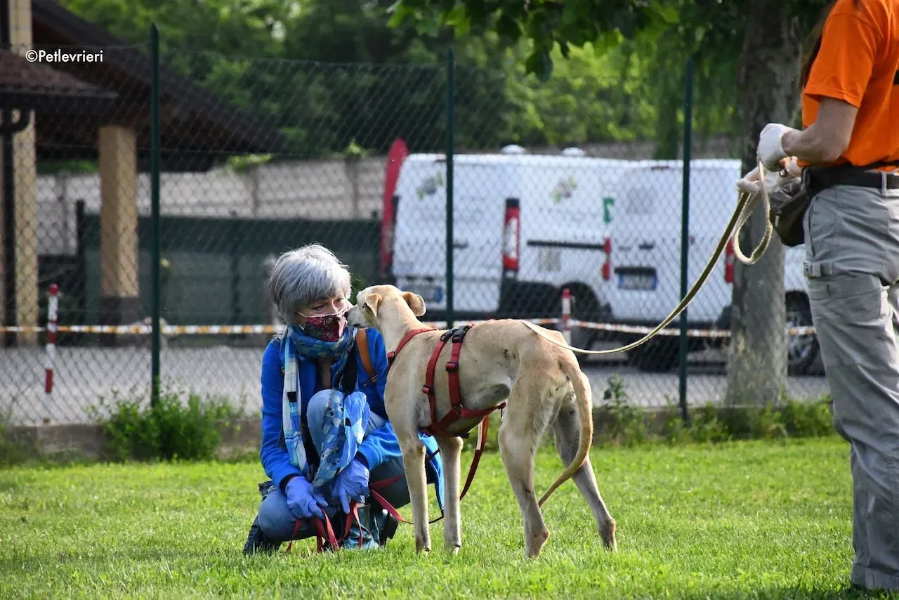 adoption day galgo 23 maggio 2020 104