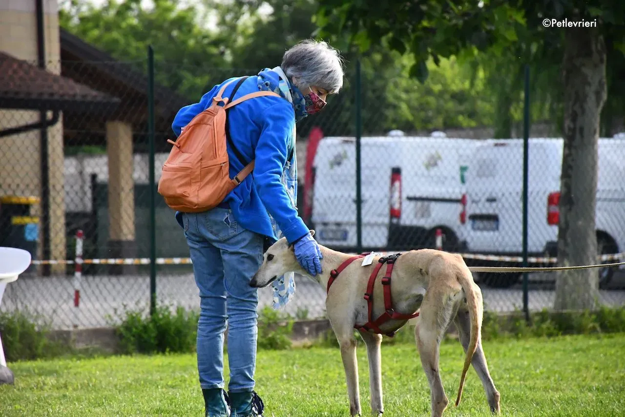 adoption day galgo 23 maggio 2020 106