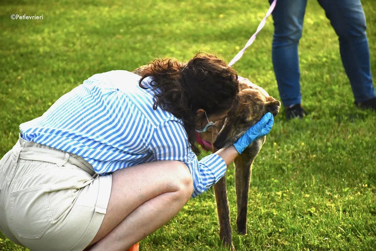 adoption day galgo 23 maggio 2020 107