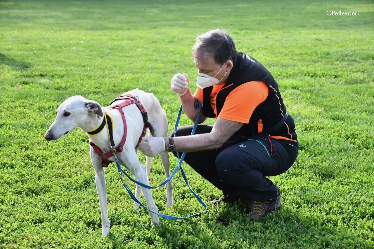 adoption day galgo 23 maggio 2020 109