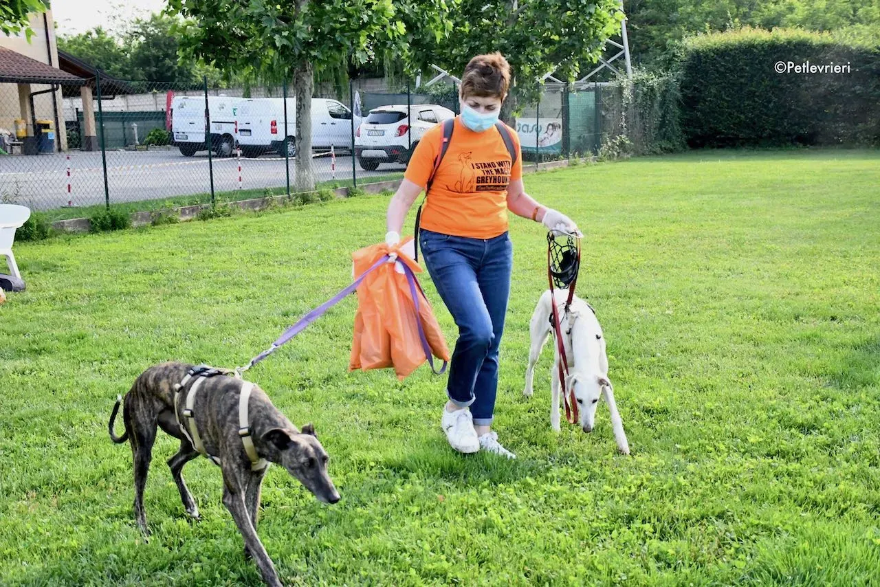 adoption day galgo 23 maggio 2020 111