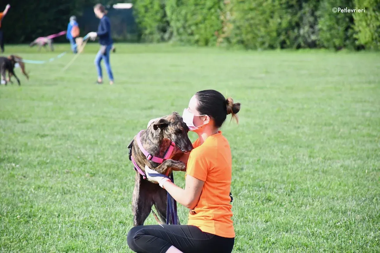 adoption day galgo 23 maggio 2020 113