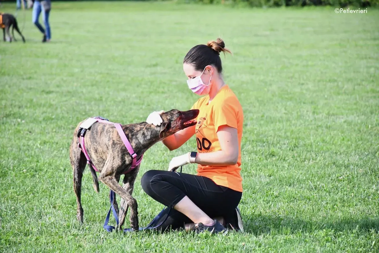adoption day galgo 23 maggio 2020 114