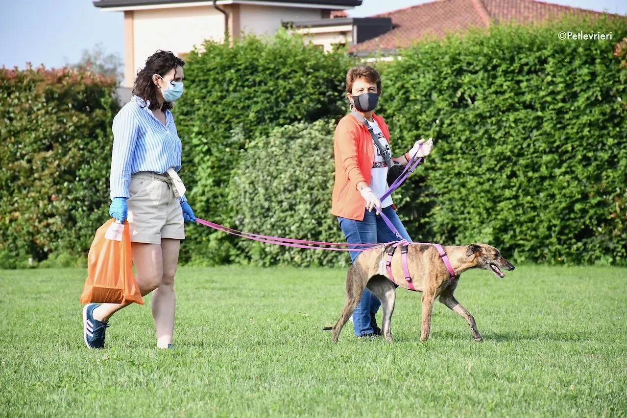 adoption day galgo 23 maggio 2020 116