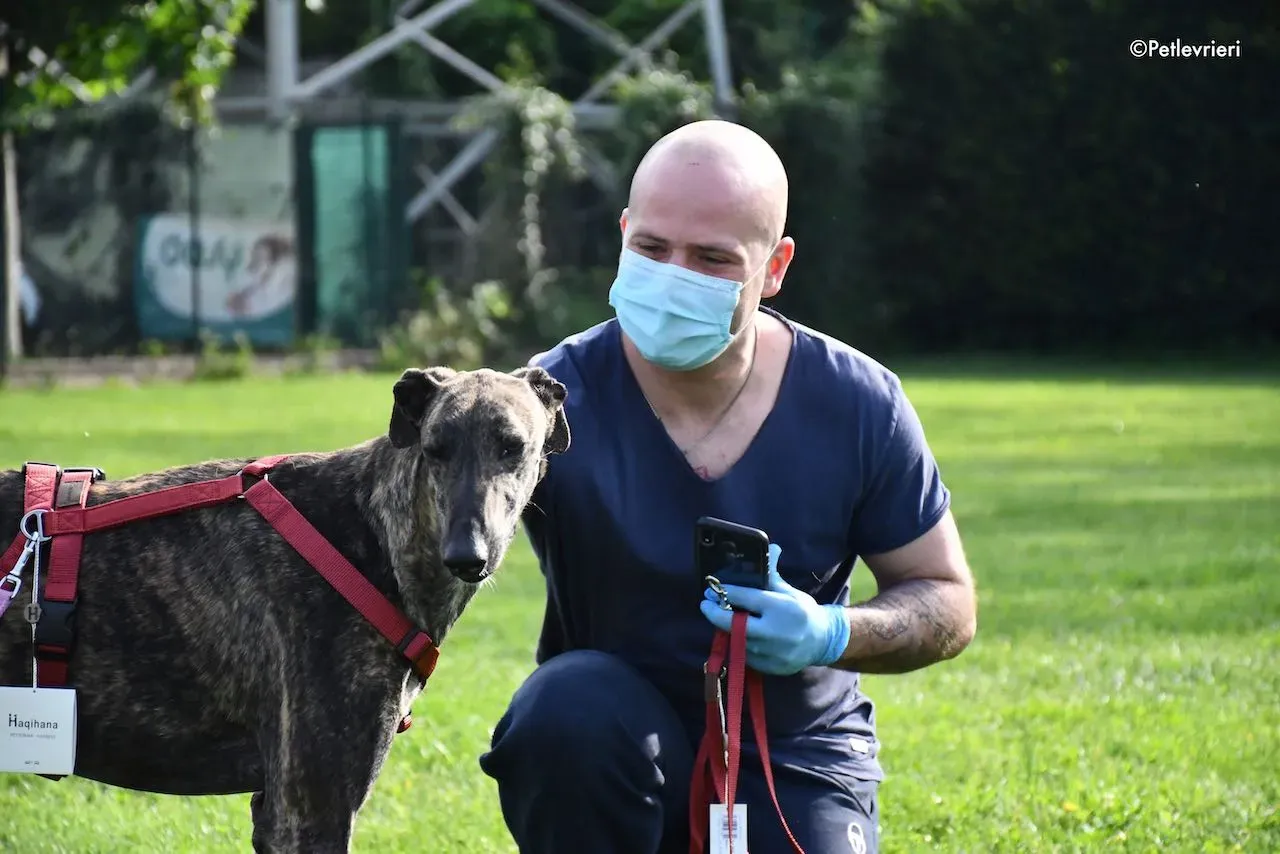 adoption day galgo 23 maggio 2020 119