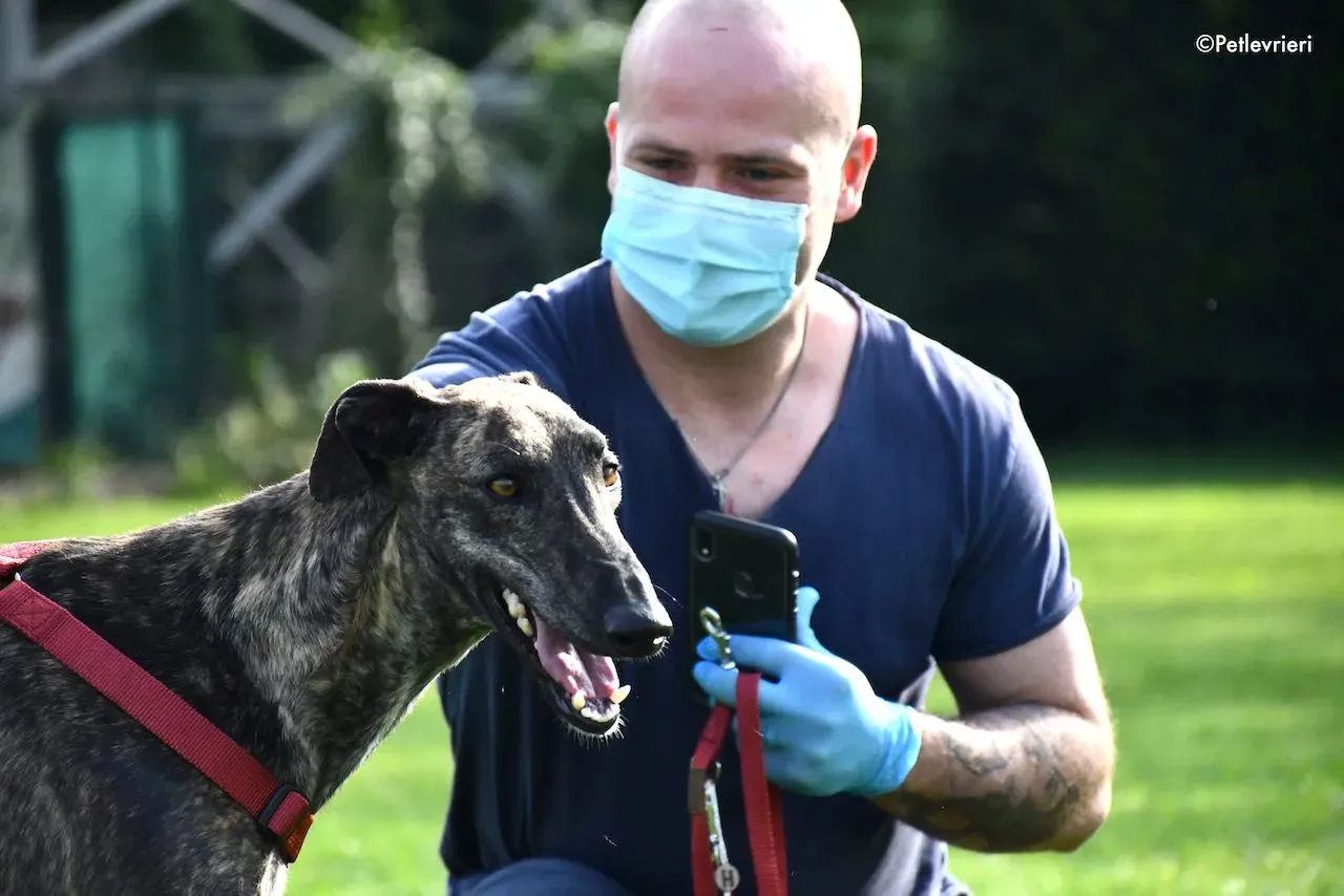 adoption day galgo 23 maggio 2020 120