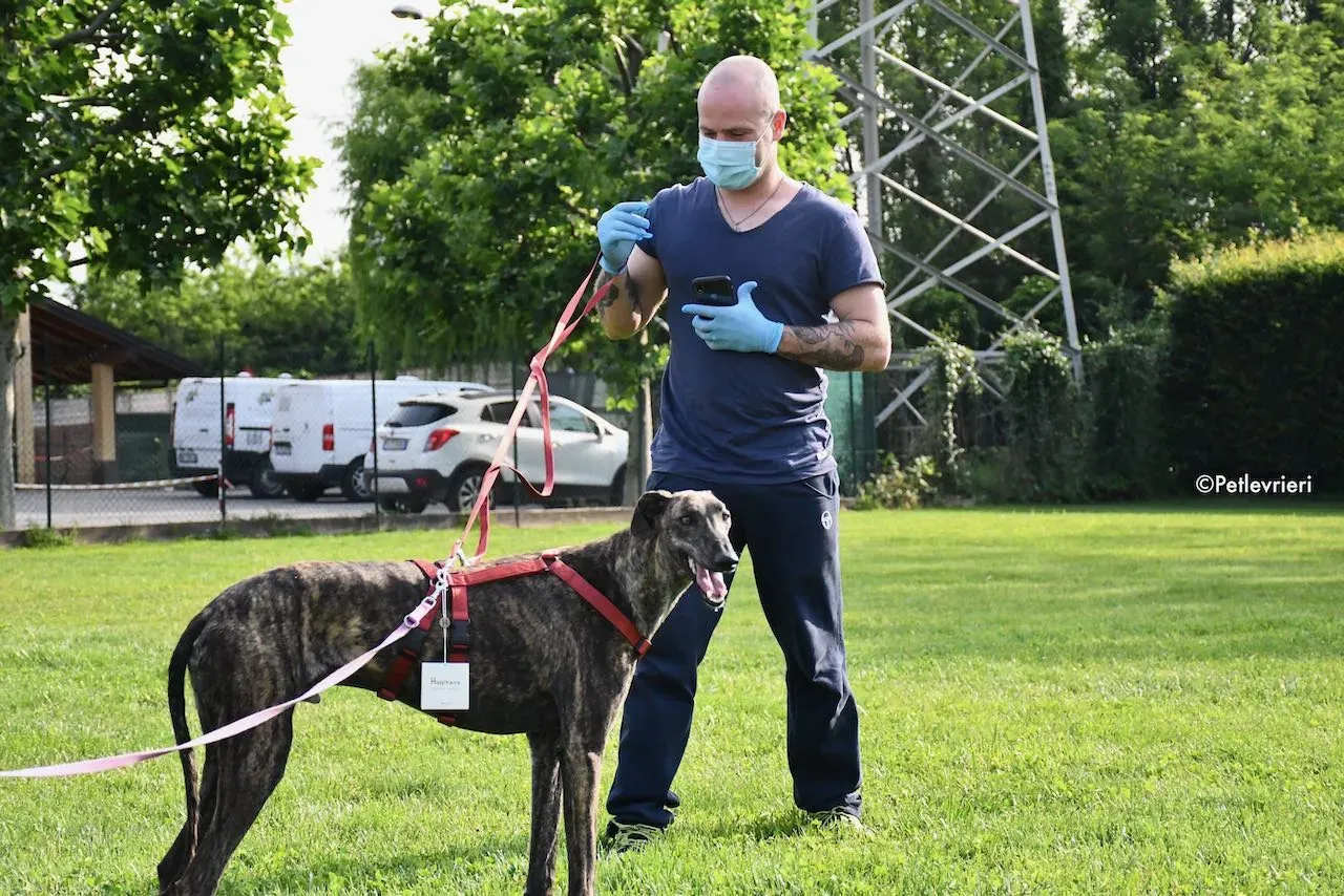 adoption day galgo 23 maggio 2020 121