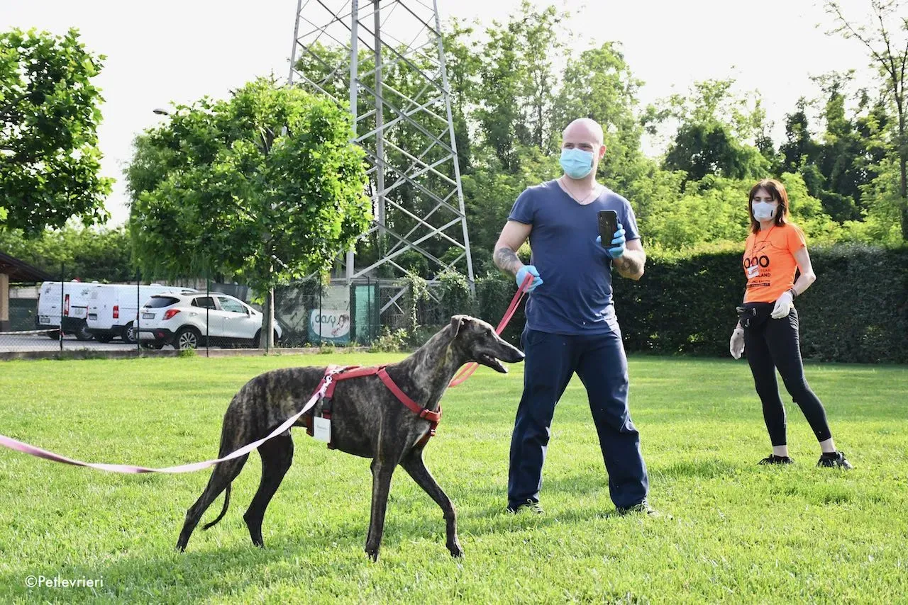adoption day galgo 23 maggio 2020 122