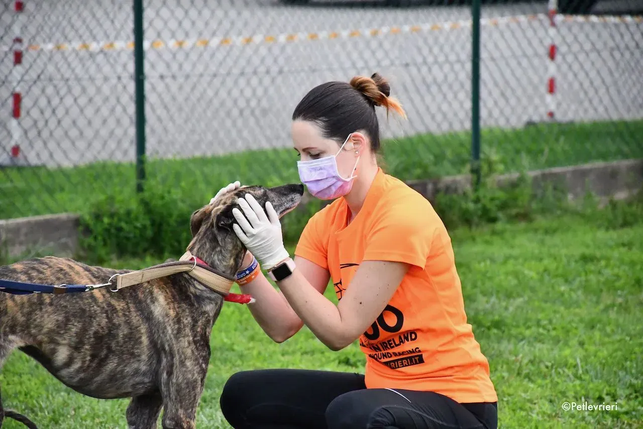 adoption day galgo 23 maggio 2020 14