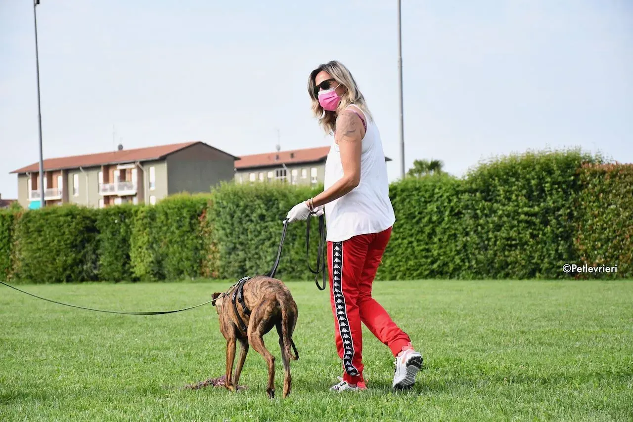 adoption day galgo 23 maggio 2020 142