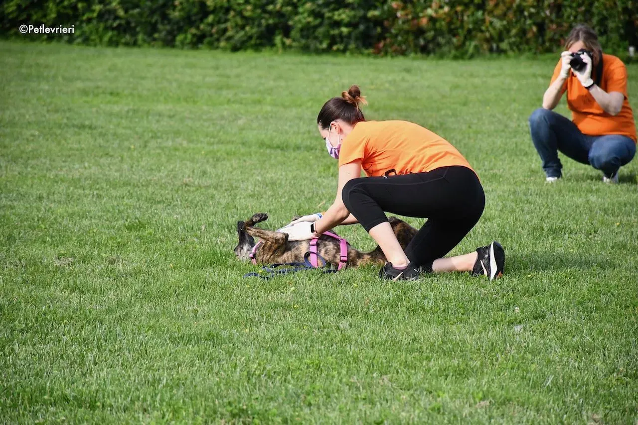 adoption day galgo 23 maggio 2020 144
