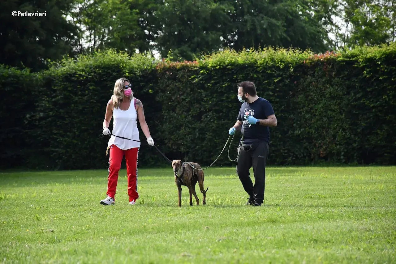 adoption day galgo 23 maggio 2020 151